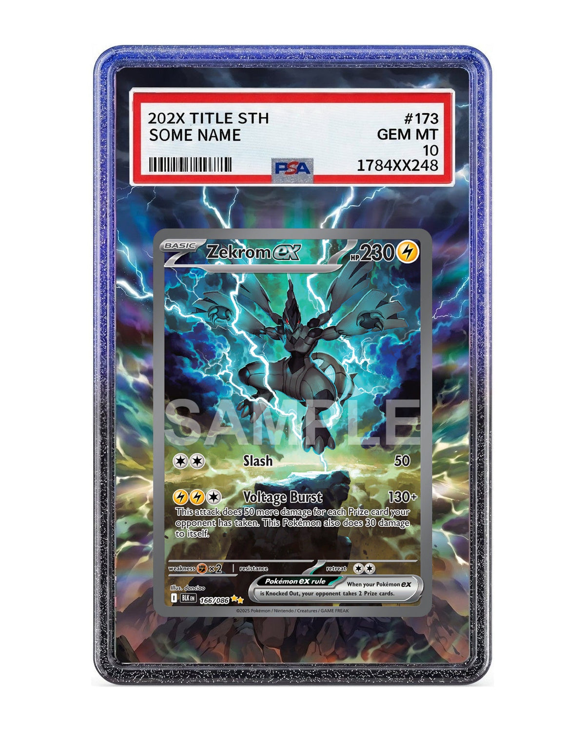 Zekrom ex #166 Black Bolt Extended Art Case
