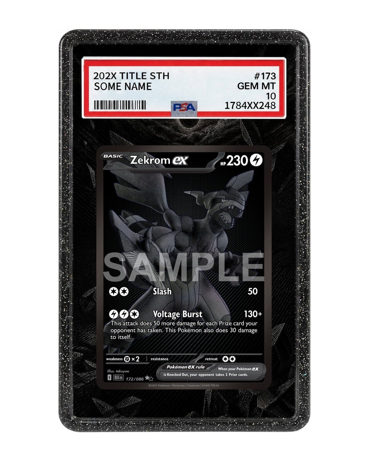 Zekrom ex #172 Black Bolt Extended Art Case
