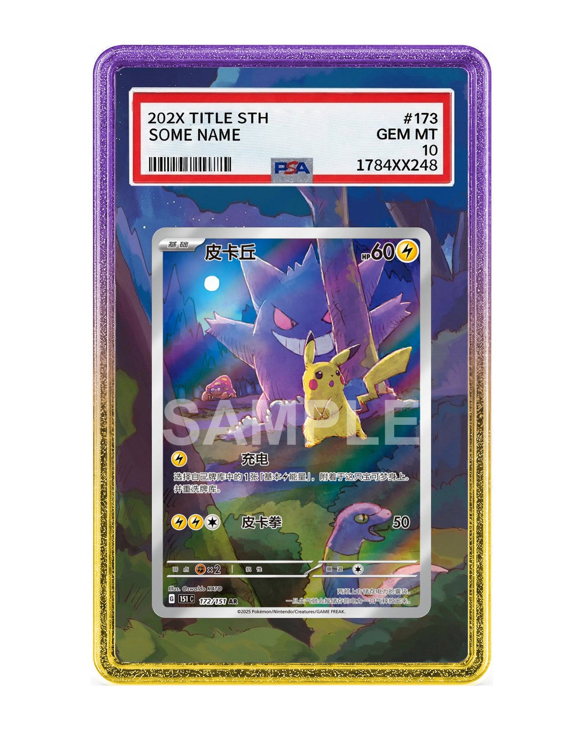 Pikachu #172 Chinese 151 Collect Extended Art Case